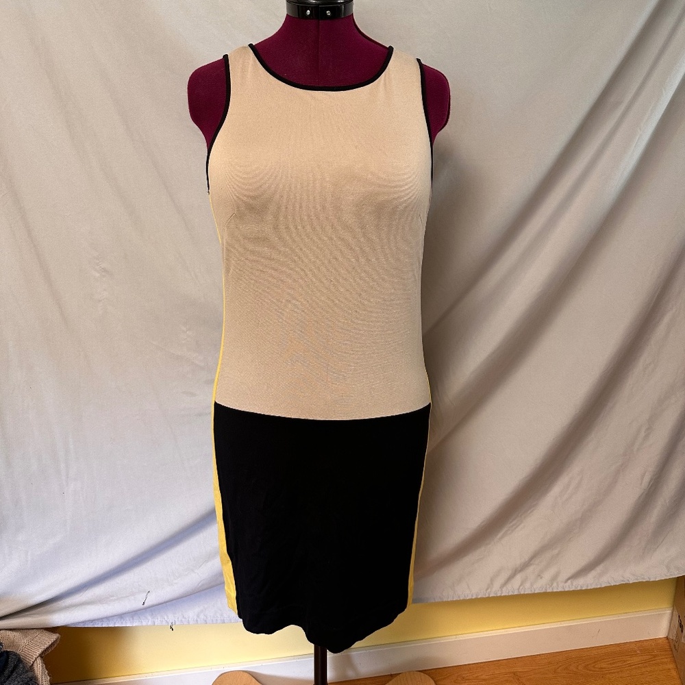 Ann Taylor block dress